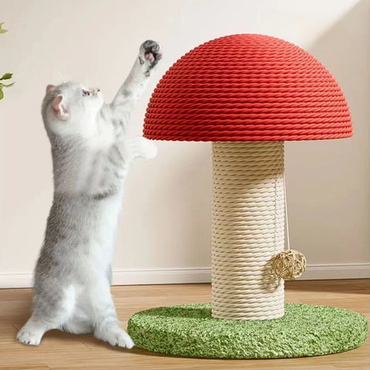 Cat Scratching Mushroom Tree
