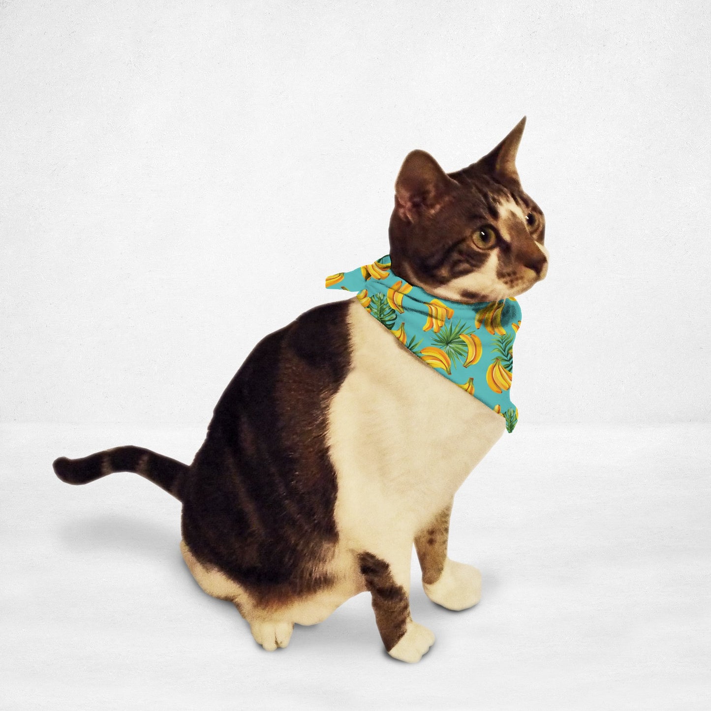 Cat & Dog Bandana - Going Bananas